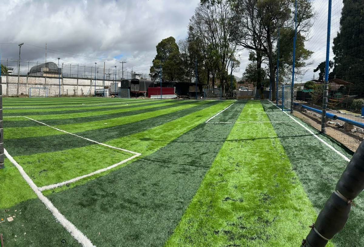 Cancha sintética del club